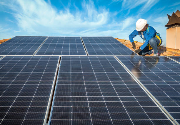 Best Roof Moss and Algae Removal  in Redwood City, CA