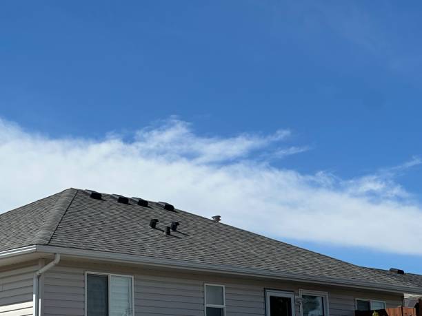 Best Metal Roofing Installation  in Redwood City, CA